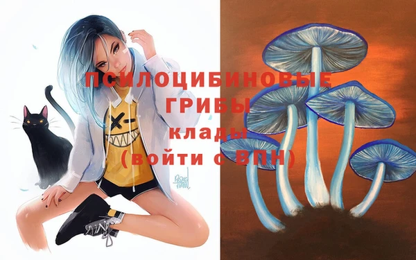 трава Нязепетровск