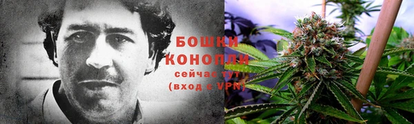 ПСИЛОЦИБИНОВЫЕ ГРИБЫ Нягань