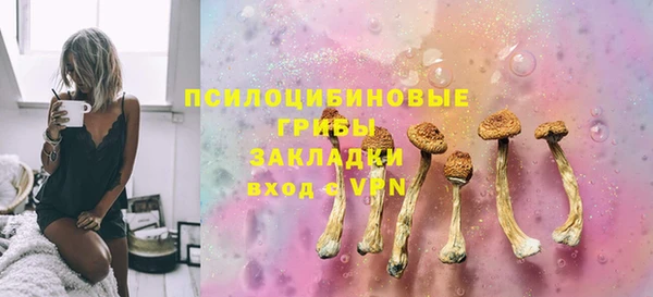ПСИЛОЦИБИНОВЫЕ ГРИБЫ Нягань