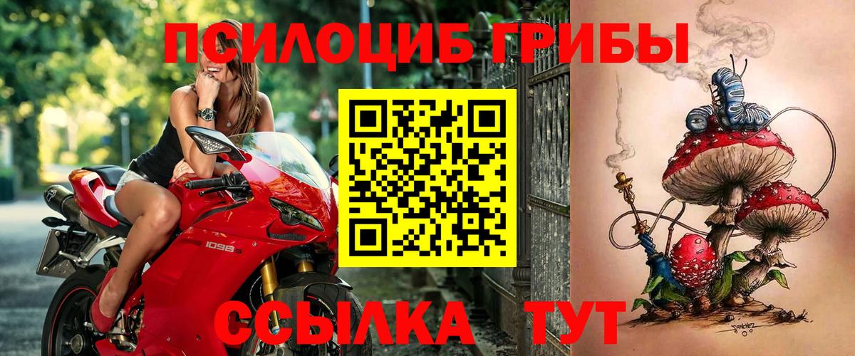 Галлюциногенные грибы Psilocybe Лабытнанги